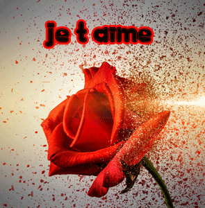 Gif je t'aime